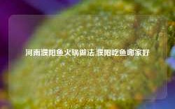 河南濮阳鱼火锅做法,濮阳吃鱼哪家好