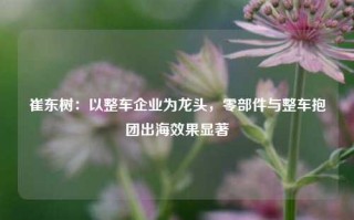 崔东树：以整车企业为龙头，零部件与整车抱团出海效果显著