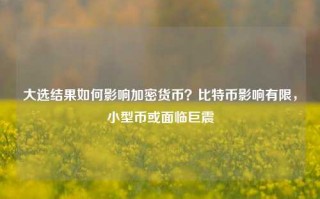 大选结果如何影响加密货币？比特币影响有限，小型币或面临巨震