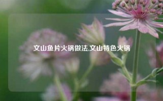 文山鱼片火锅做法,文山特色火锅