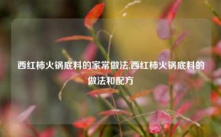 西红柿火锅底料的家常做法,西红柿火锅底料的做法和配方