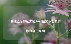 麻辣鱼泡做法火锅,麻辣鱼火锅怎么做好吃相关视频