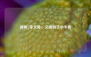 视频|李大霄：又闻到了小牛香