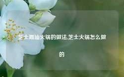 芝士潮汕火锅的做法,芝士火锅怎么做的