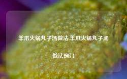 羊爪火锅丸子汤做法,羊爪火锅丸子汤做法窍门