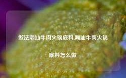 做法潮汕牛肉火锅底料,潮汕牛肉火锅底料怎么做