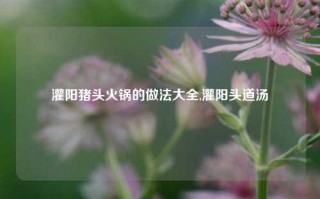 灌阳猪头火锅的做法大全,灌阳头道汤