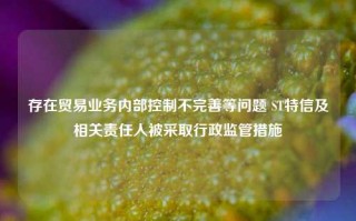 存在贸易业务内部控制不完善等问题 ST特信及相关责任人被采取行政监管措施