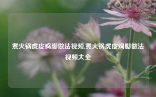 煮火锅虎皮鸡脚做法视频,煮火锅虎皮鸡脚做法视频大全