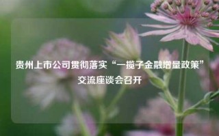 贵州上市公司贯彻落实“一揽子金融增量政策”交流座谈会召开