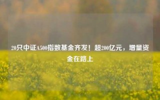 20只中证A500指数基金齐发！超200亿元，增量资金在路上