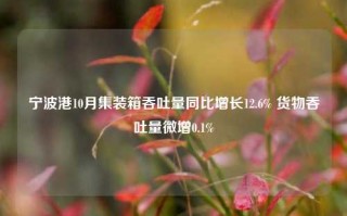 宁波港10月集装箱吞吐量同比增长12.6% 货物吞吐量微增0.1%