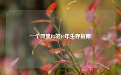 一个阿里P8的10年生存指南