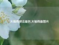 火锅鸡做法面包,火锅鸡面图片