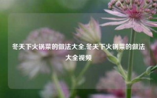 冬天下火锅菜的做法大全,冬天下火锅菜的做法大全视频