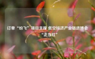 订单“纷飞”项目支撑 低空经济产业链进博会“正当红”