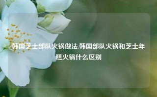 韩国芝士部队火锅做法,韩国部队火锅和芝士年糕火锅什么区别