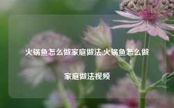 火锅鱼怎么做家庭做法,火锅鱼怎么做家庭做法视频