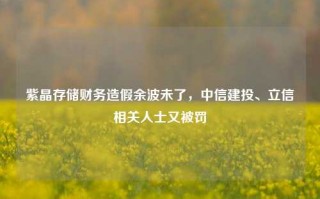 紫晶存储财务造假余波未了，中信建投、立信相关人士又被罚