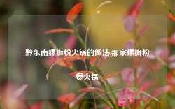 黔东南螺蛳粉火锅的做法,那家螺蛳粉煲火锅