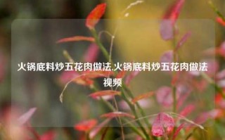 火锅底料炒五花肉做法,火锅底料炒五花肉做法视频