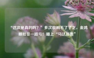 “这次是真的吗？”多次收购不了了之，金鸿顺扣非一路亏！瞄上“马达新贵”