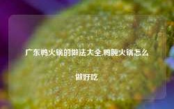 广东鸭火锅的做法大全,鸭肫火锅怎么做好吃