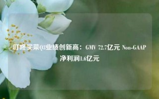 叮咚买菜Q3业绩创新高：GMV 72.7亿元 Non-GAAP净利润1.6亿元