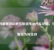 特朗普团队研究取消电动汽车补贴，马斯克为何支持