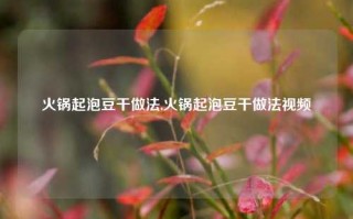 火锅起泡豆干做法,火锅起泡豆干做法视频