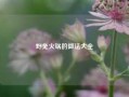 野兔火锅的做法大全