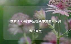 木炭铜火锅的做法视频,木炭铜火锅的做法家里