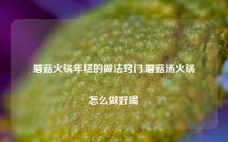 蘑菇火锅年糕的做法窍门,蘑菇汤火锅怎么做好喝