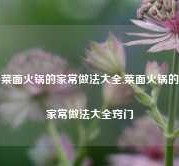 菜面火锅的家常做法大全,菜面火锅的家常做法大全窍门