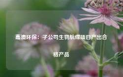 嘉澳环保：子公司生物航煤项目产出合格产品