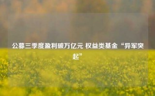 公募三季度盈利破万亿元 权益类基金“异军突起”