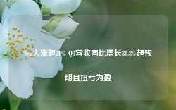 Sea大涨超20% Q3营收同比增长30.8%超预期且扭亏为盈