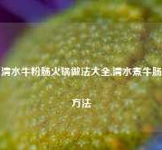 清水牛粉肠火锅做法大全,清水煮牛肠方法