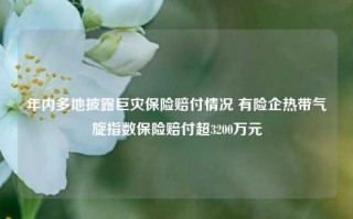 年内多地披露巨灾保险赔付情况 有险企热带气旋指数保险赔付超3200万元