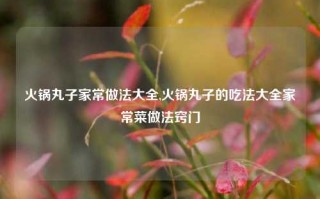 火锅丸子家常做法大全,火锅丸子的吃法大全家常菜做法窍门