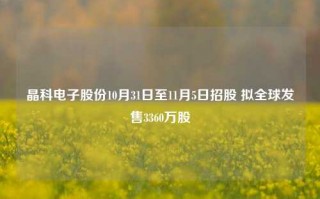 晶科电子股份10月31日至11月5日招股 拟全球发售3360万股