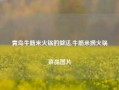 青岛牛筋米火锅的做法,牛筋米捞火锅菜品图片