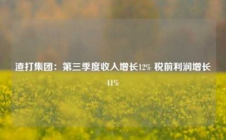 渣打集团：第三季度收入增长12% 税前利润增长41%