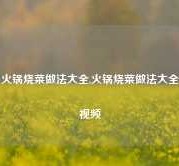 火锅烧菜做法大全,火锅烧菜做法大全视频