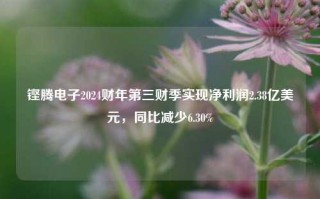 铿腾电子2024财年第三财季实现净利润2.38亿美元，同比减少6.30%