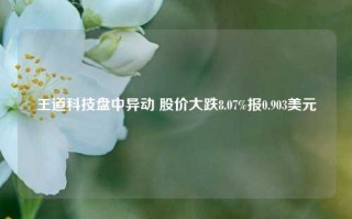 王道科技盘中异动 股价大跌8.07%报0.903美元