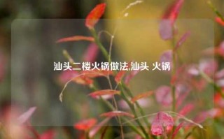 汕头二楼火锅做法,汕头 火锅