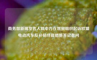 商务部新闻发言人就中方在世贸组织起诉欧盟电动汽车反补贴终裁措施答记者问