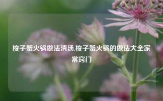 梭子蟹火锅做法清汤,梭子蟹火锅的做法大全家常窍门