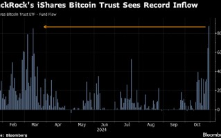 贝莱德的比特币ETF录得创纪录资金流入 美国大选之前需求激增